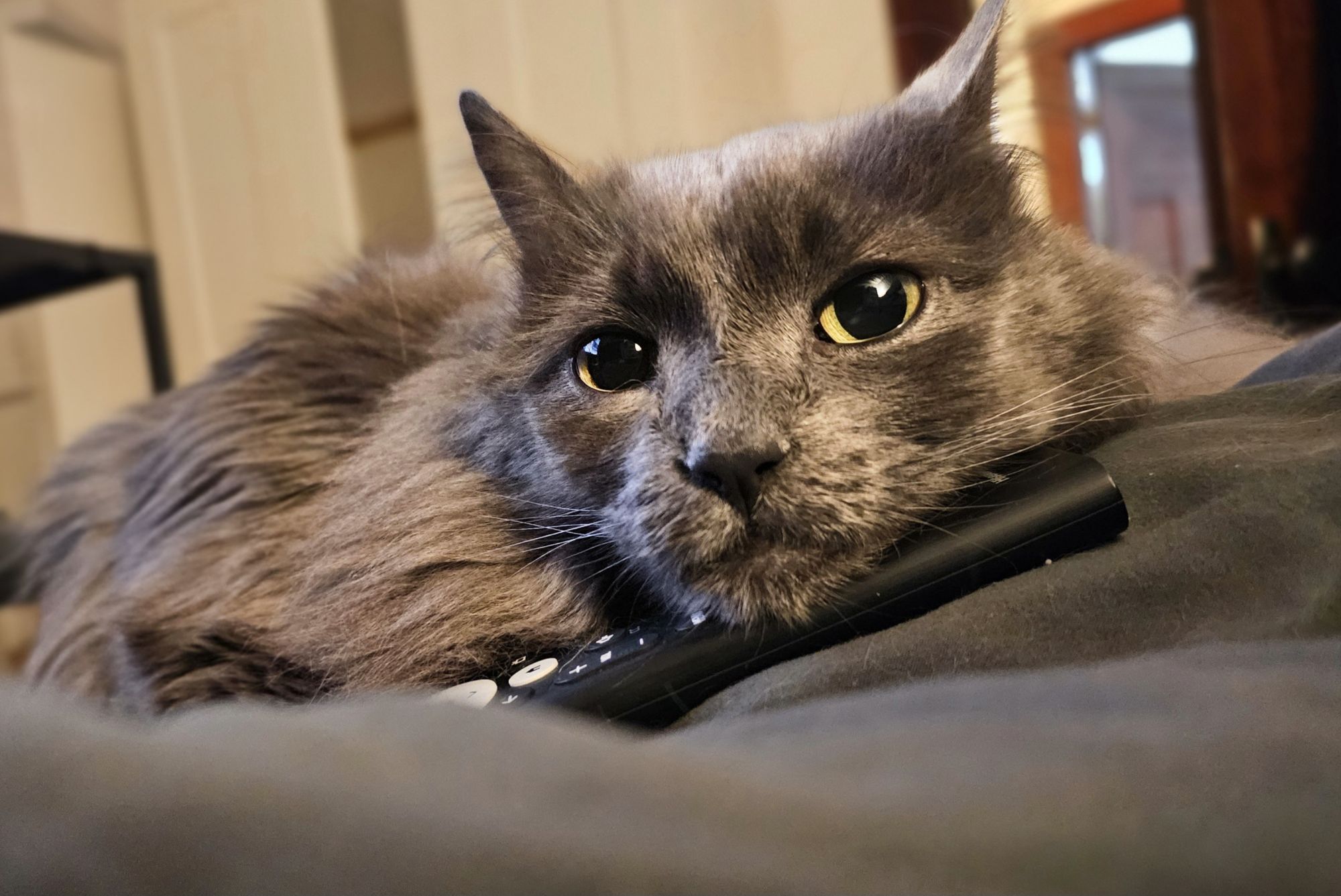 26-Nov-2025: The Keeper of the Remote