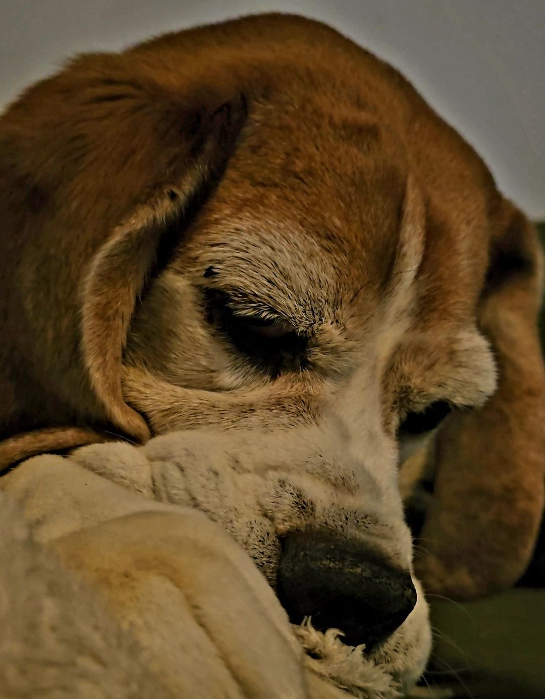 12-Nov-2025: Archer the Sucky Baby